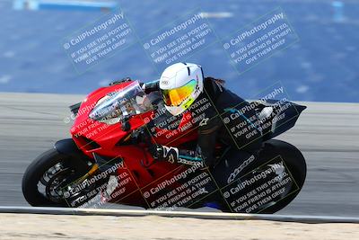 media/May-14-2022-SoCal Trackdays (Sat) [[7b6169074d]]/Turn 11 Inside Pans (935am)/